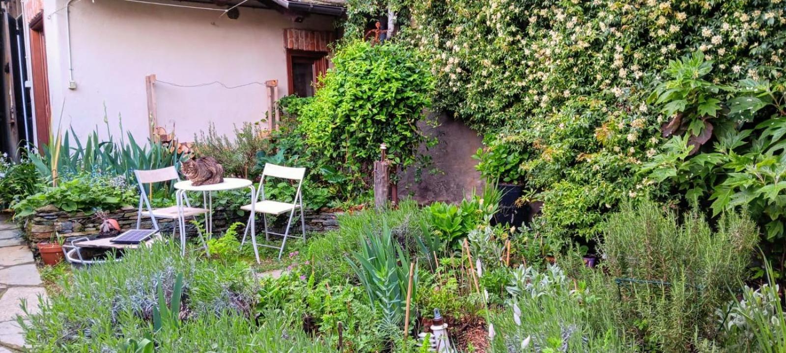 La Marmotta Hotel Luserna San Giovanni Bagian luar foto